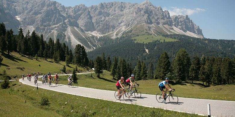 Freunde der Staubwolke